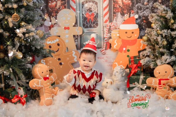 Chụp ảnh Noel cho bé – Vì sao đây là dịp đẹp nhất để lưu giữ tuổi thơ của con? – ảnh 2