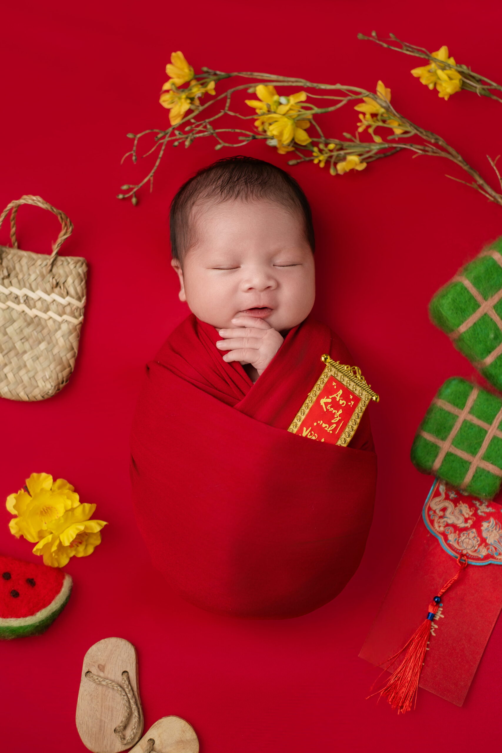 Chụp ảnh newborn Tết có khó không? Ba mẹ bận rộn vẫn muốn lưu hình cho con – ảnh 3